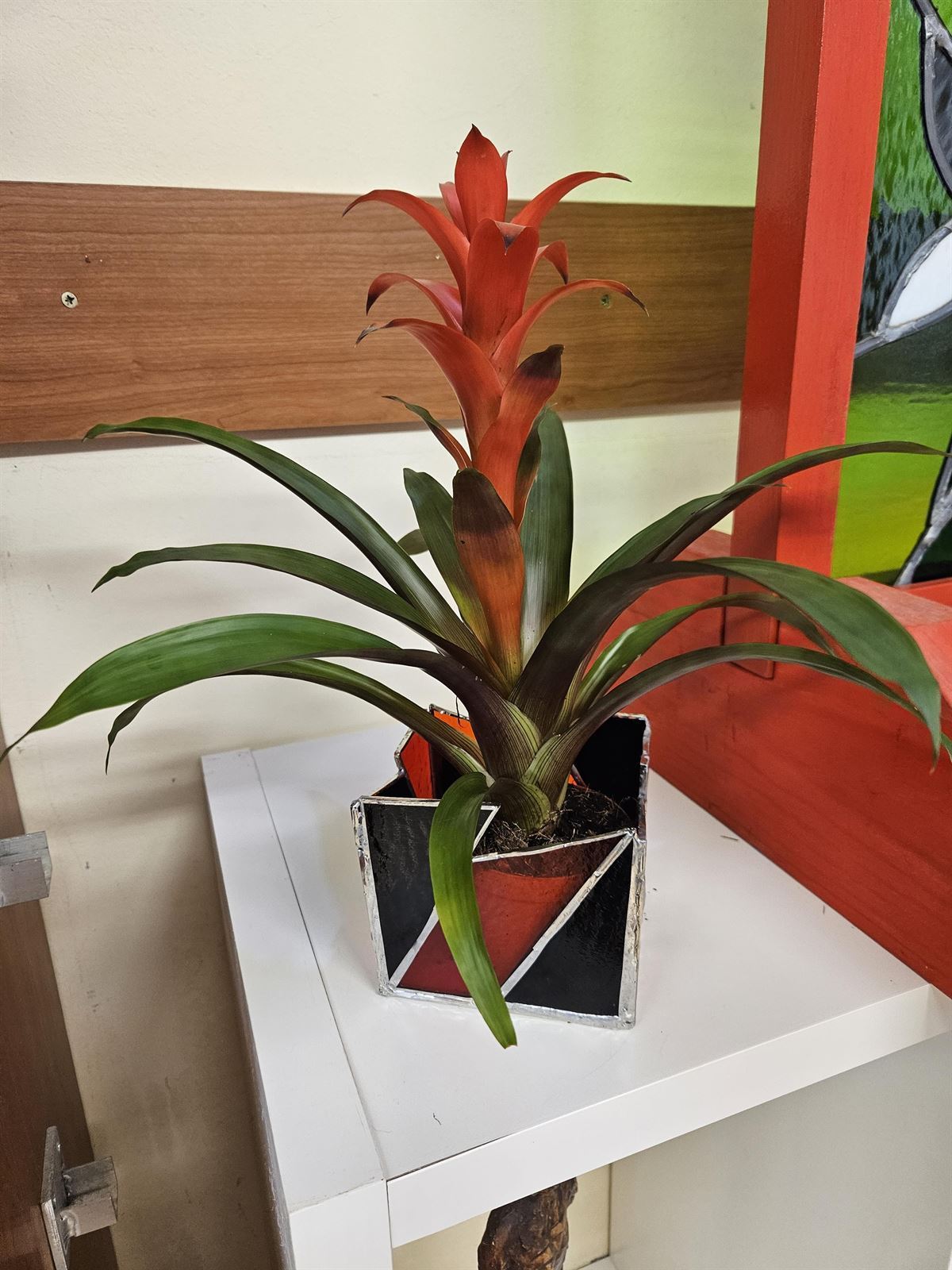 Plantera 1 - Sold- por encargo - Imagen 1