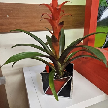 Plantera 1 - Sold- por encargo - Imagen 1