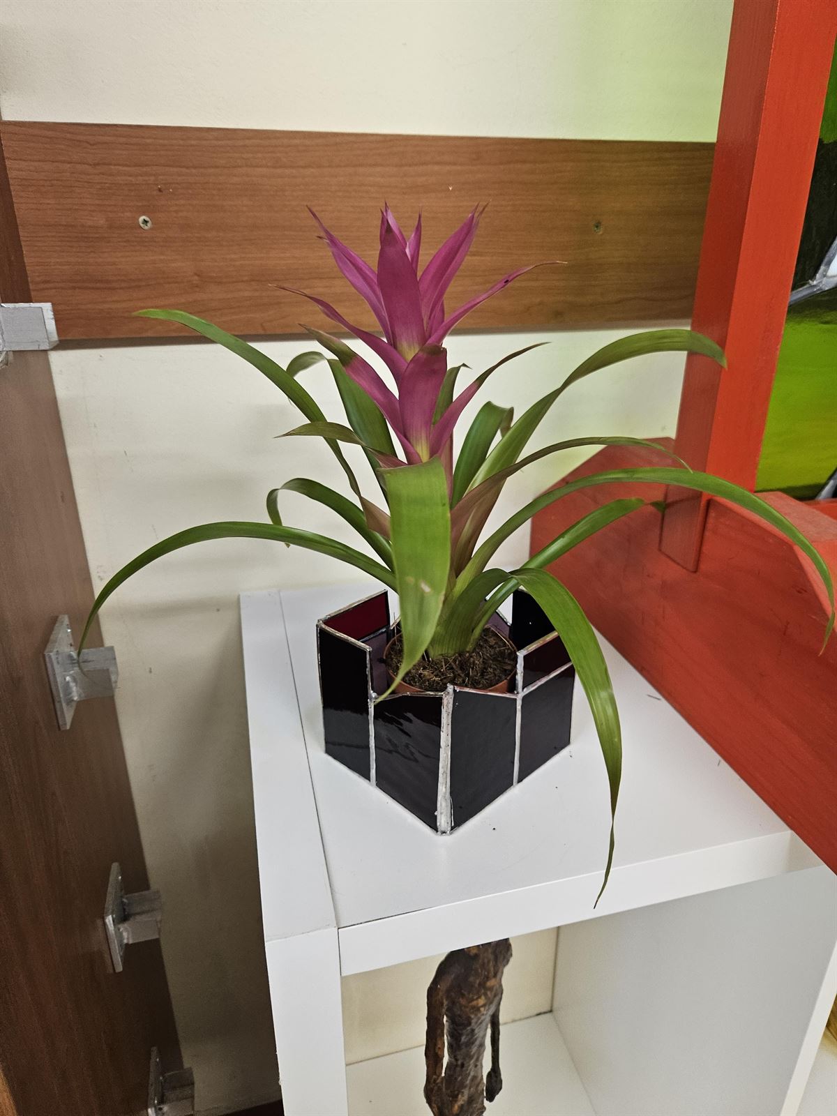 Plantera 3 - Imagen 1